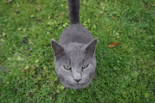 homeland-paradise:Neptune 