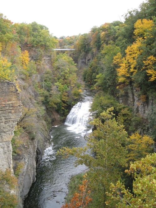 CASCADILLA GORGE—ITHACA, NY Cascadilla Gorge is located in the southern portion of Cornell Uni