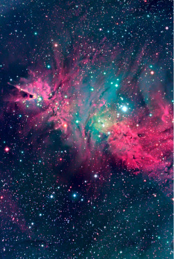psychedeliclights:  orbitingthoughts:  The Cone and Fox Fur Nebula   VIBE
