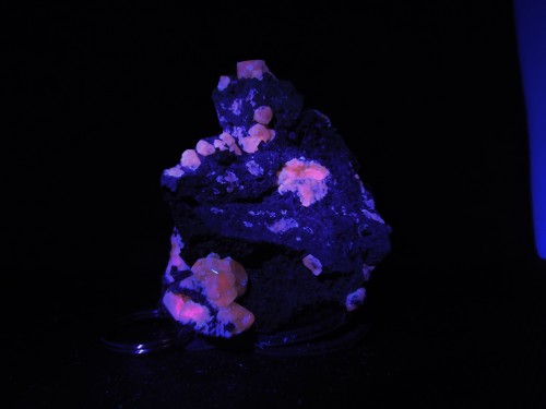 Haüyne On Fassaite displaying fluorescenceLocality: Biachella Valley, Sacrofano, Rome Province, Lazi