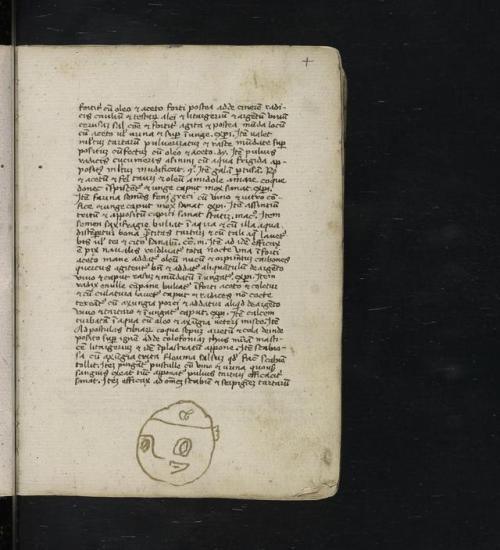 LJS 236 Thesaurus pauperum &hellip; etc. Written in Latin in northern Italy in the second half of th