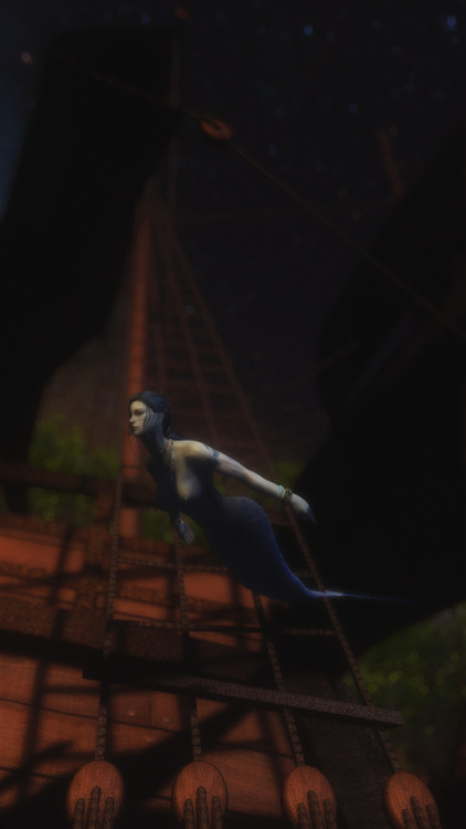 artanis4skyrim:  mearalikesmead:  Some more Dylynn. She is making some new friends. flickr  So amazi