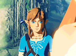 hyruel: The Legend of Zelda: Breath of the