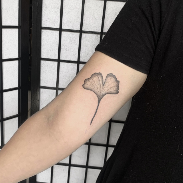 10 Best Ginkgo Leaves Tattoo IdeasCollected By Daily Hind News