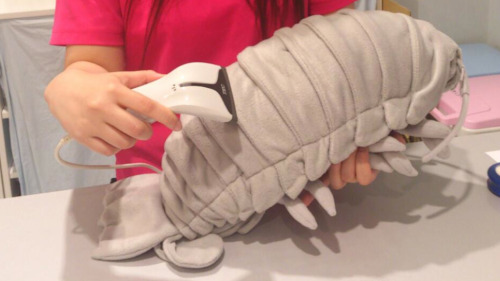 thebatterie:awrrex-stein:kotakucom:Here, have a cuddly giant isopod plushie.WANTi need this omg