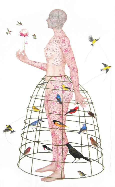 Susan Jamison‘Avian Couture’, 2006egg tempera, ink, transfer on panel