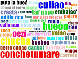 Futubanderaa:  Chile!!!