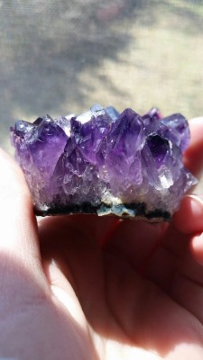 anythingypsum:  Uruguayan Amethyst I received for my birthday! 