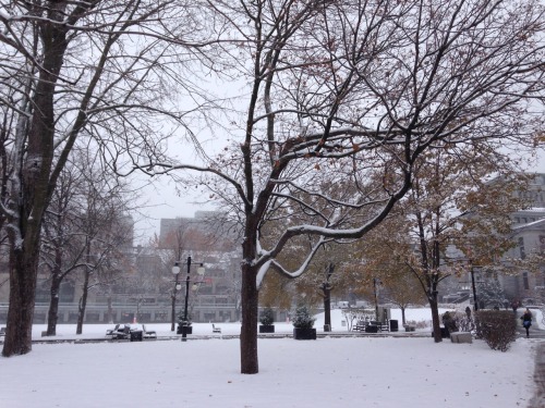 Winter is coming and I couldn&rsquo;t be more excited, even though Montreal turns into a giant slush