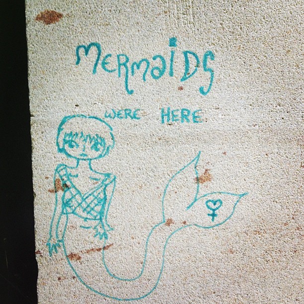 planetnymph:  #mermaids @lizmeowsmith @erinpetes @sfredfern