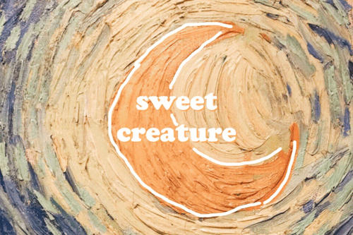 twofronteeth:sweet creature // harry styles