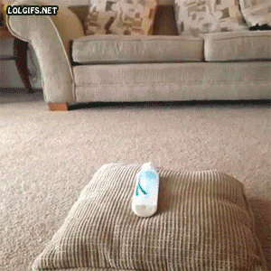 Saturday silly. ~ it had to be a Dad that thought of this. ;-)
/via +Carl Draper
#gif #humor
-
Mission Impossible
–
Terry Lightfoot (http://goo.gl/XUwPN4) via hand itchy (http://goo.gl/NdE7C0)