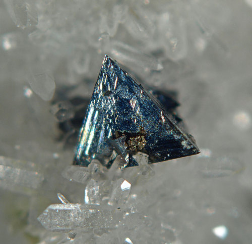 themineralogist:  Tetrahedrite on Quartz from Italy (by Di Domenico Dario)