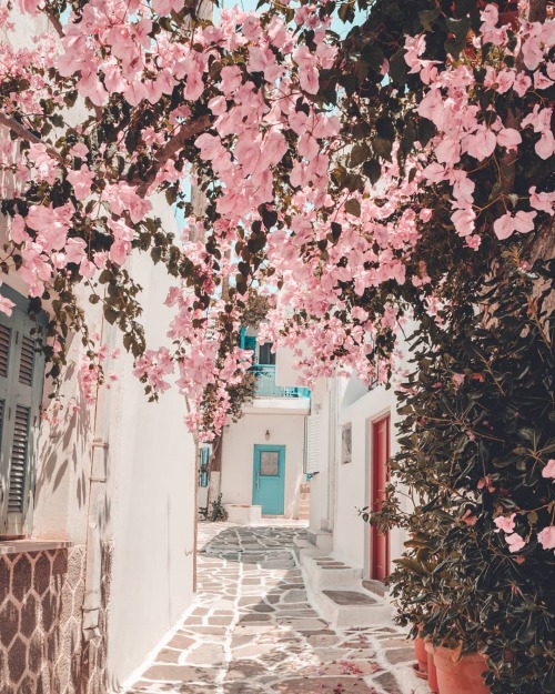 Paros, Greece ~ Polina Paraskevopoulou