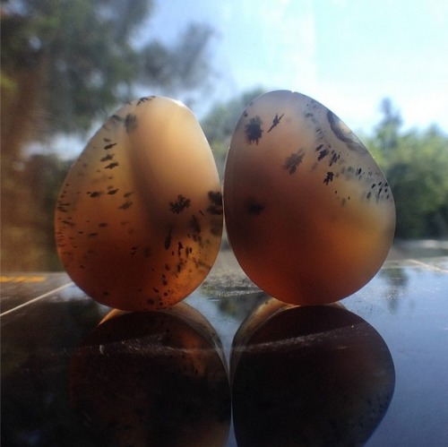 plugporn:  Indian Yellow Skin Dendritic Agate Teardrops by Heart on Sleeve Jewelry 