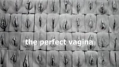 By the way, to whoever that ignorant anon who probably has only seen porn star vaginas was, there’s a documentary called “The Perfect Vagina” that I’d suggest you watch, but I know you probably won’t so I’ll just tell