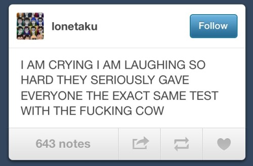 riderunlive: today on tumblr: what is cow