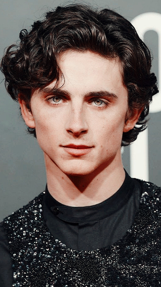 Timothee Chalamet Wallpapers Tumblr Posts Tumbral Com Timothee Chalamet Wallpapers Tumblr Posts Tumbral Com