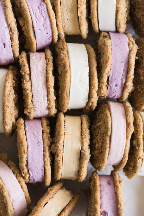 XXX sweetoothgirl:    frozen yogurt cookie sandwiches photo