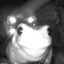 mmmmmfrog