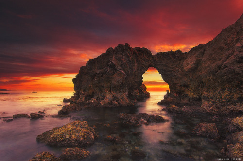 Corona Del Mar Beach, CA by Dara Lork on Flickr.