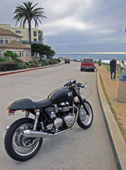 rebelofsuburbia:  Thruxton - La Jolla, CA