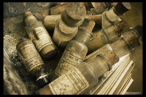 abandonthehalls:  Grotesque Animal Specimens Discovered in an Abandoned Veterinary School Arguably the weirdest location featured in our Creepy Abandoned Schools and Universities round-up, L’école de Médecine Vétérinaire in Brussels is a macabre