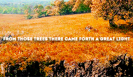 orlandobloom:   Then the bliss of the Valar was increased; for the lights of the