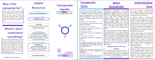[Image Description:  A preview of a pamphlet entitled “Transgender Identity, A Condensed Guide” with