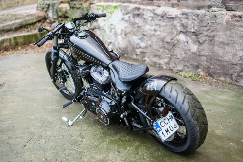 jd-kickdrum:  Softail   Datum!