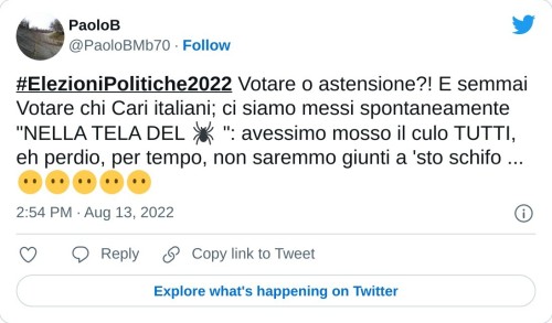 #ElezioniPolitiche2022 Votare o astensione?! E semmai Votare chi Cari italiani; ci siamo messi spontaneamente "NELLA TELA DEL 🕷 ": avessimo mosso il culo TUTTI, eh perdio, per tempo, non saremmo giunti a 'sto schifo ... 😶😶😶😶😶  — PaoloB (@PaoloBMb70) August 13, 2022