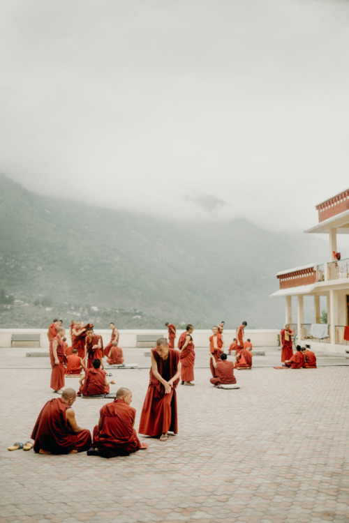 natalieallenco:Monks practicing debate class in the Himalayas, 2016.