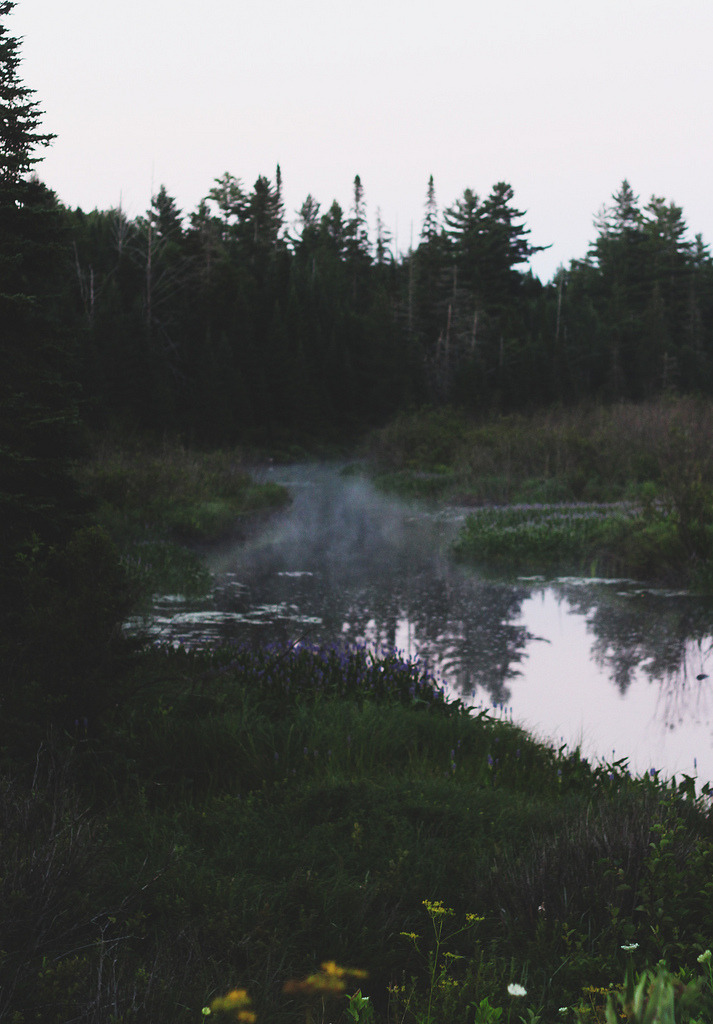 vhord:  strictly nature
