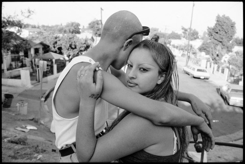 photoarchive:  Gregory Bojorquez, Jasper and Star, 1999