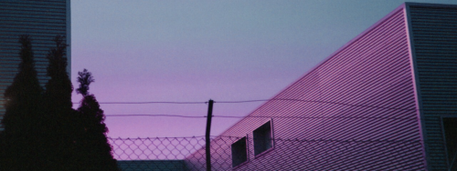 Like/reblog If You Save/use 🌸