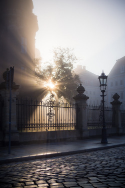 allthingseurope: Dresden, Germany (by Thomas)