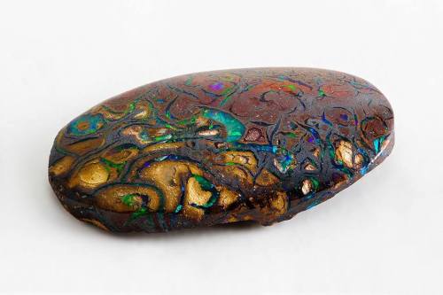 Yowrah nut cabochon These beautiful Australian opal nuts consist veins of precious glowing opal with
