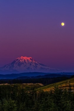 heaven-ly-mind:  Rainier Moonlight by Steven