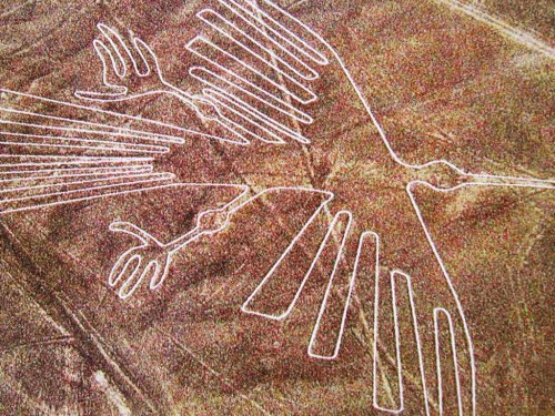 manybirdsfromthetreeoflife: Nazca lines. The condor, the hummigbird,