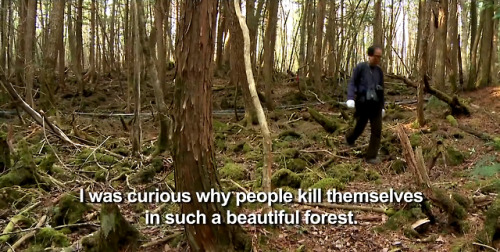 reclusify:  radock: teenlifewasnotthebomb: From Vice’s mini documentary on the Suicide Forest in Japan x im not joking when i say this is literally the only vice documentary worth watching, everything else on vice infuriates me to no end but this is