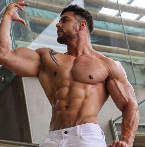 Adonis Files
