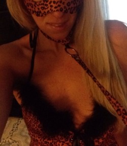 sarahxoxoblog:  A little more fun with my costume in bed