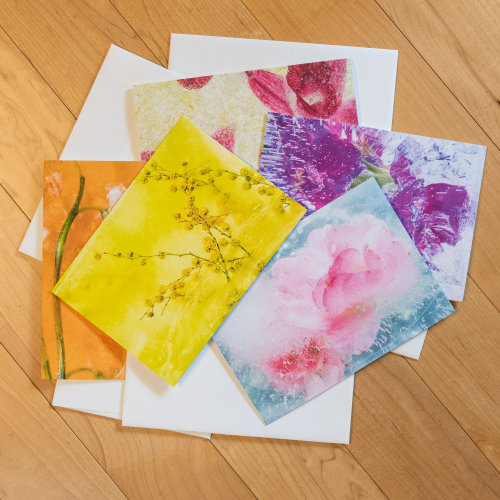 Assorted blank greeting cards w/ envelopes - set of 5 - Stunning Floral Collection, All Occasion Car