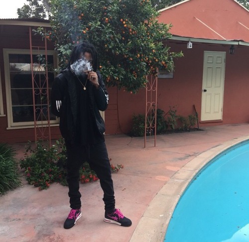 drugsmami: westside-mami: westside-mami ㅤㅤ