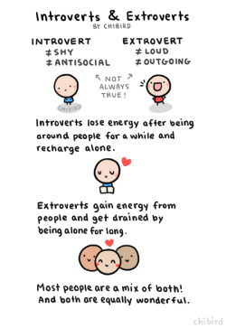 chibird:  An informative drawing about introverts