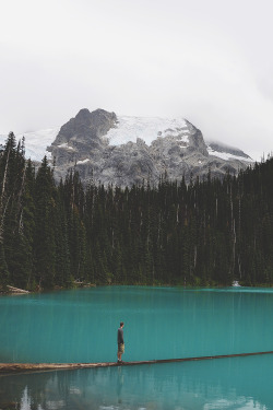 envyavenue:  Glacier Waters 