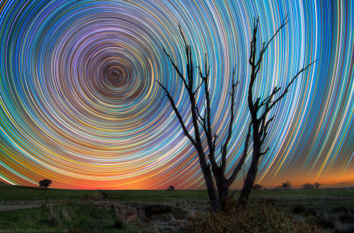 Stars Bursting In The Night SkyAustralian photographer Lincoln Harris collection ‘Star trails’, surr