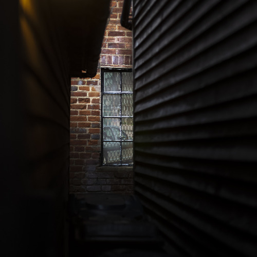 45/365 Alley