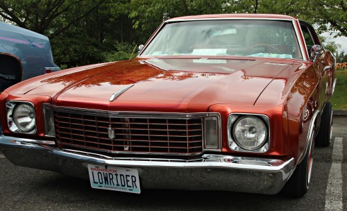 francescolt:  1972 Chevrolet Monte Carlo 