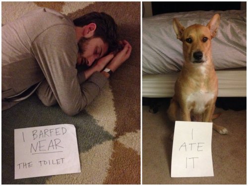 haha-woww:  lolfactory:  Got blackout drunk last night…my girlfriend helped me remember what happened.☆ funny tumblr ☆ funny reblogs  haha…. woww….